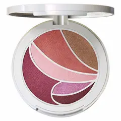 MAC - Paleta De Ojos Y Rostro Metamorphosis Face & Eye Palette