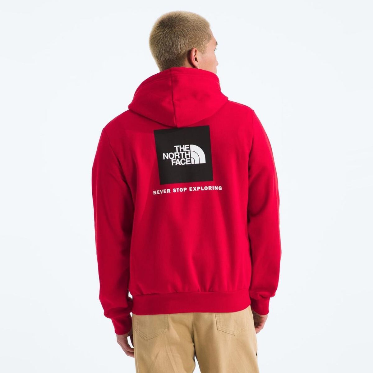 THE NORTH FACE - Polerón Evo  Nse Hoodie Hombre The North Face