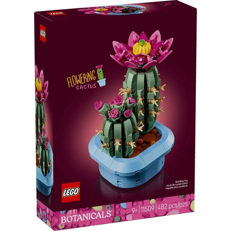 Cactus En Flor