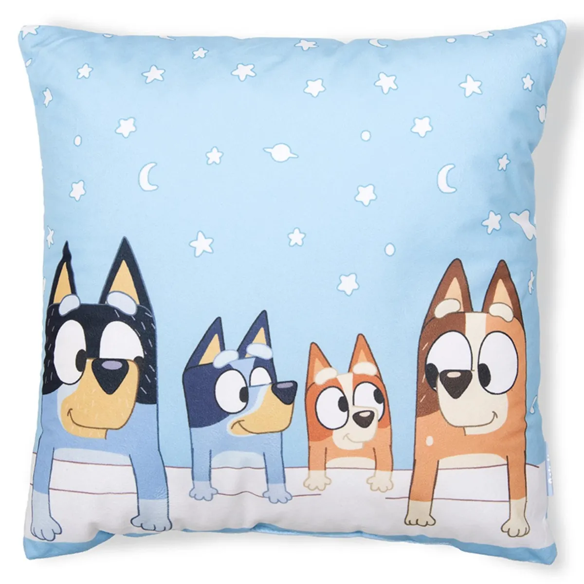 BLUEY - Cojín Velour 40X40 Bluey Fami Bluey