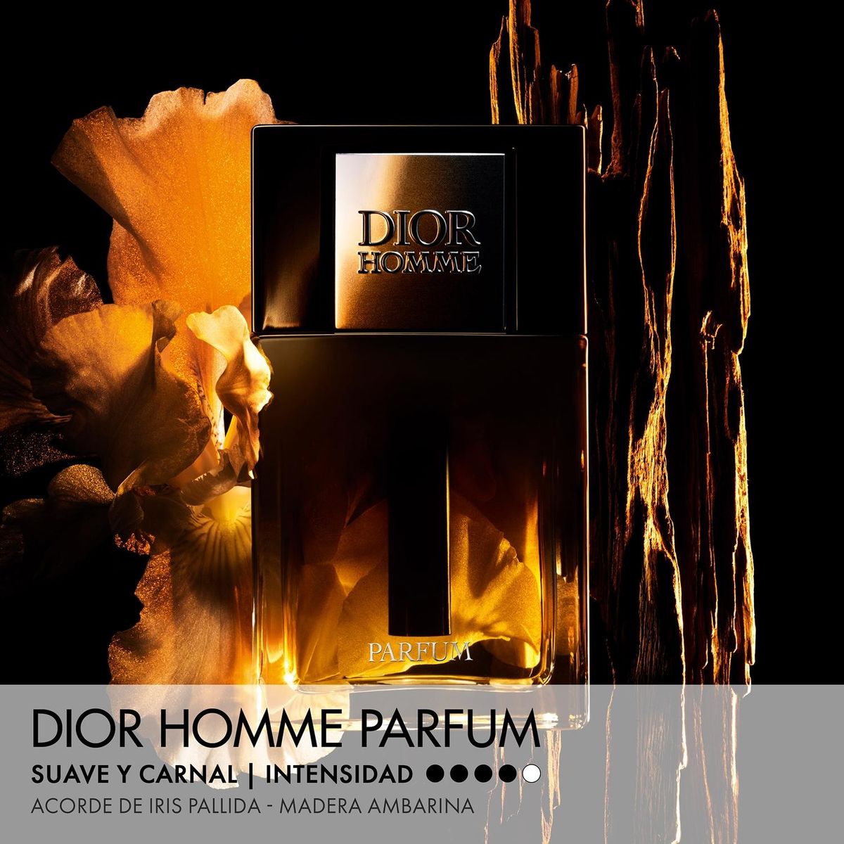 DIOR - Perfume Hombre Dior Homme Parfum 125 Ml Dior