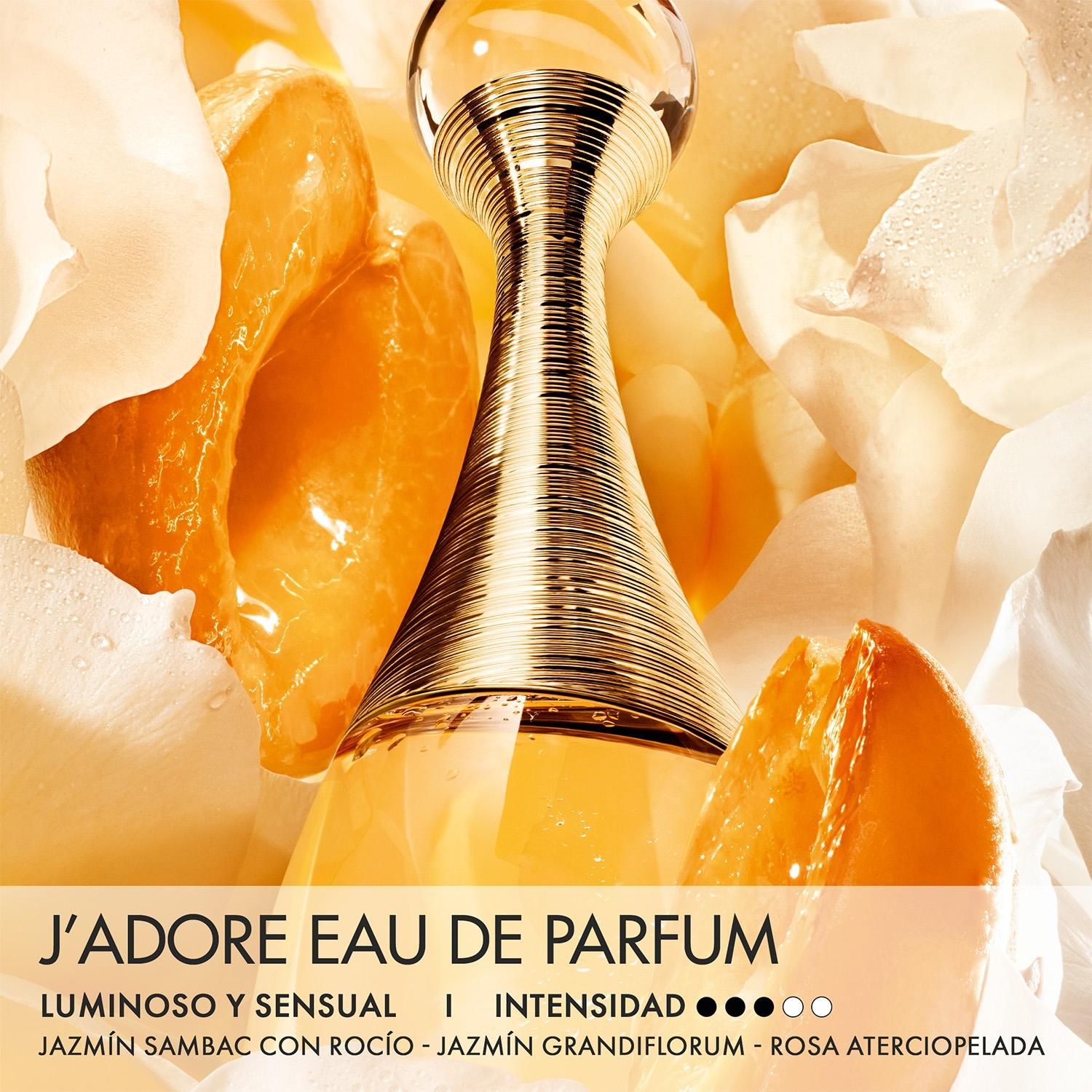 DIOR Jad Edp Pre Wrap 100Ml Mday In Dior | Falabella Chile