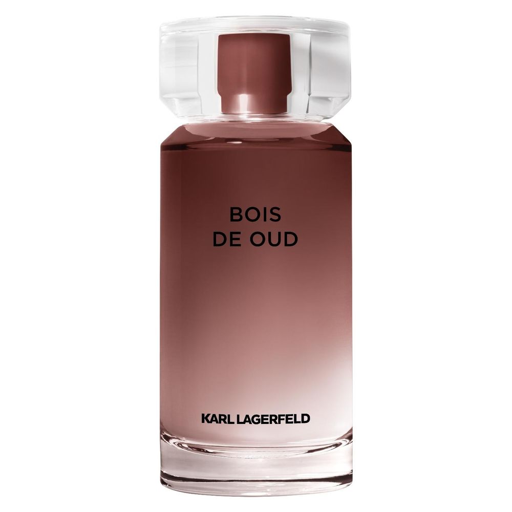 Karl Lagerfeld Bois de Oud EDT 100 ml, foto 2