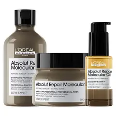 LOREAL PROFESSIONNEL - Shampoo 300ml + Mascara 250ml + Aceite 30ml Ar