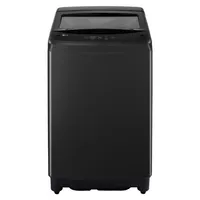 Lavadora Carga Superior 13Kg WT13O