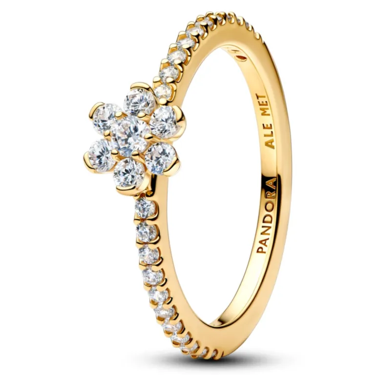 Anillo Flor Deslumbrante Mujer 50