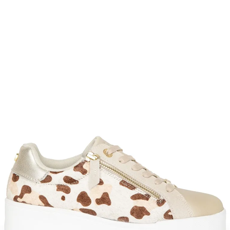 GACEL Zapato Casual Mujer Café