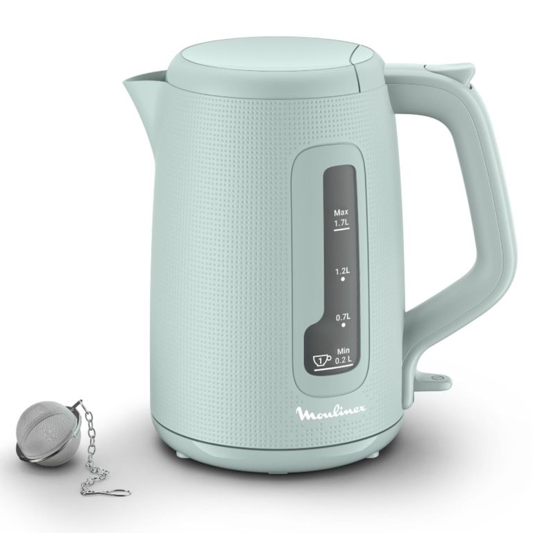 MOULINEX Hervidor Morning Tea Ball Euca