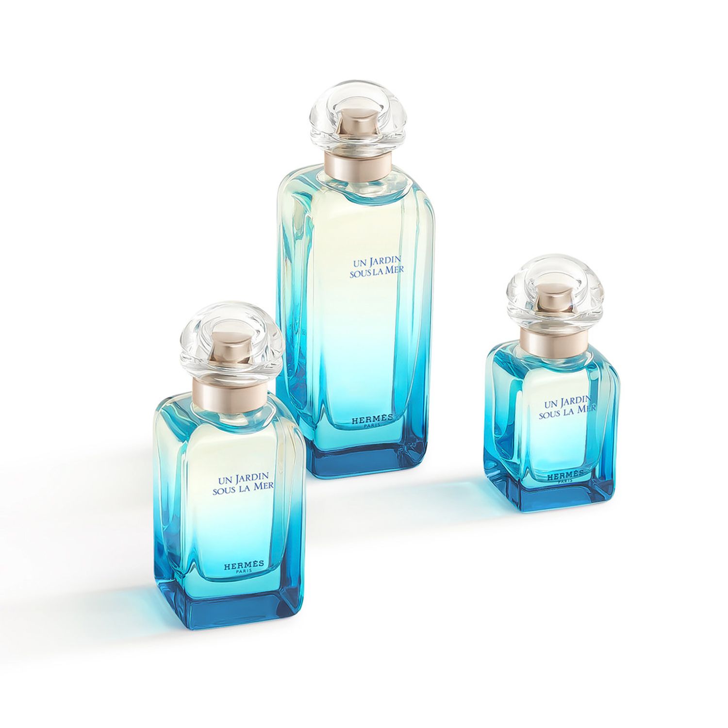 HERMES Un Jardin Sous La Mer 100ml 珊瑚礁の庭 HERMES Un Jardin sous la Mer EDT100ml Hermes | Falabella Chile