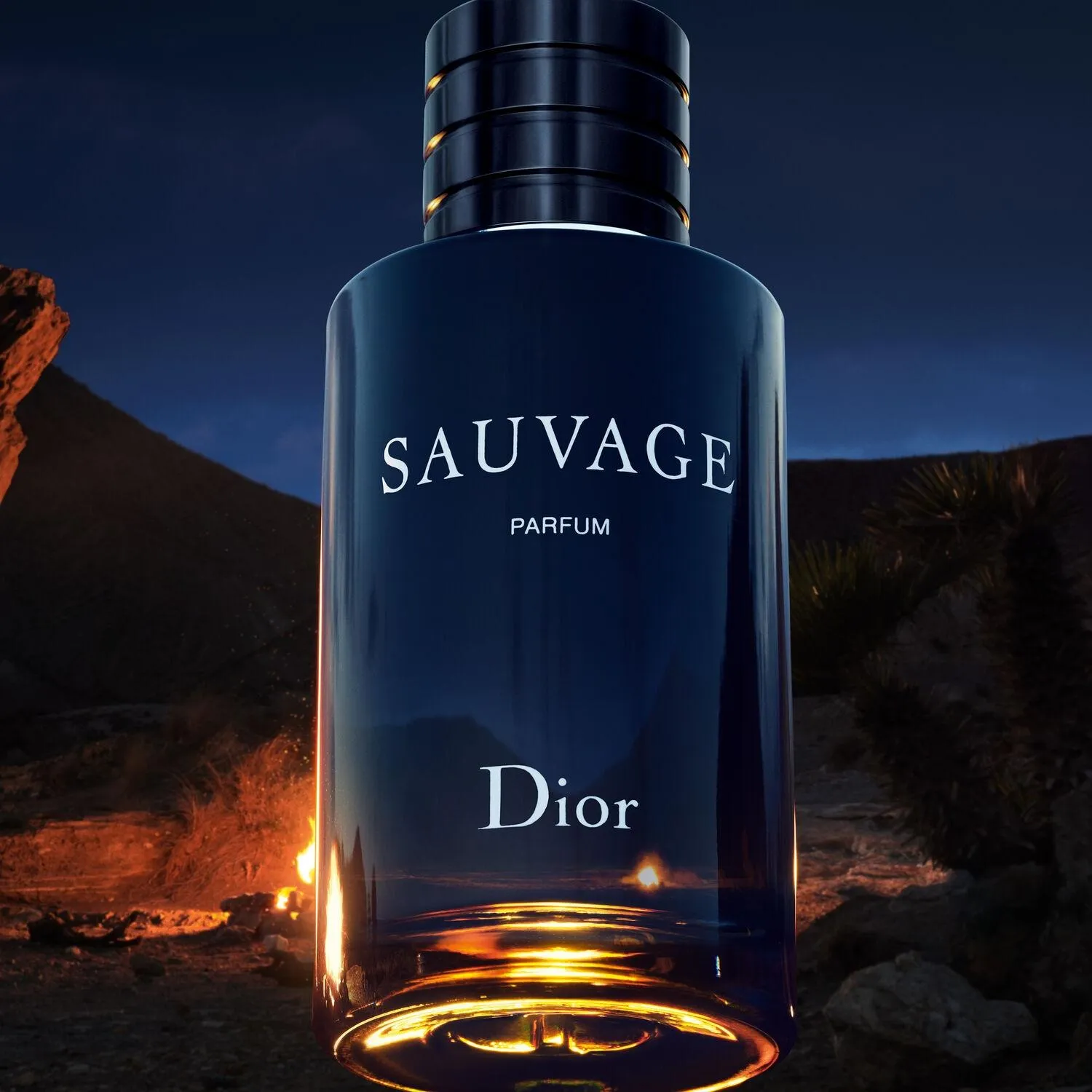DIOR Perfume Hombre Sauvage Parfum - Notas cítricas y amaderadas