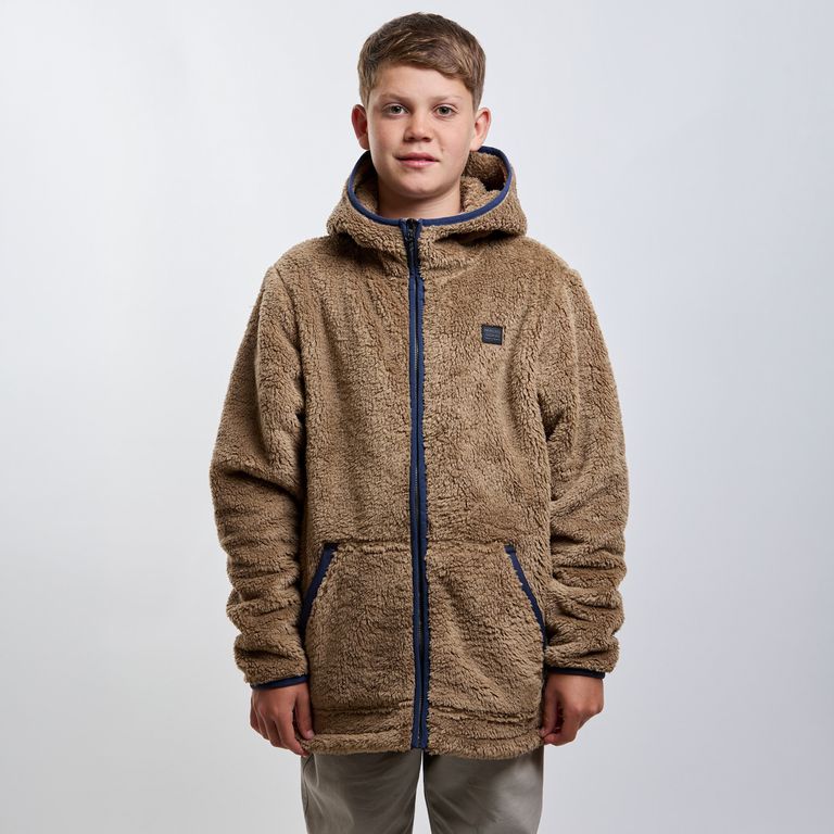 Polar Niño