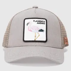 WILD LAMA - Jockey Flamenco