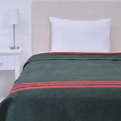 PLUMETTI - Frazada Térmica King Lisa Verde