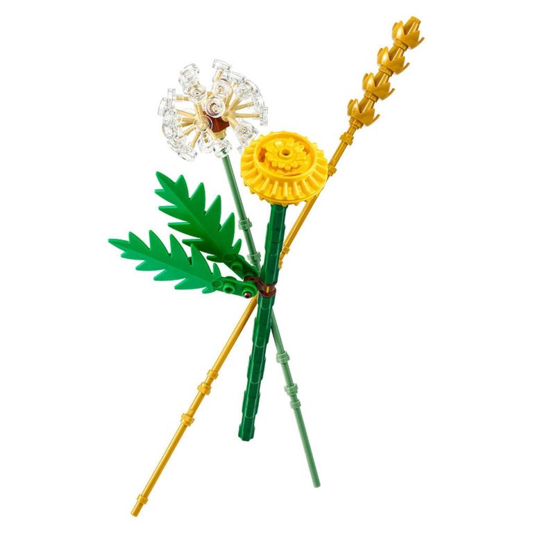 Botanical Flores De Campo