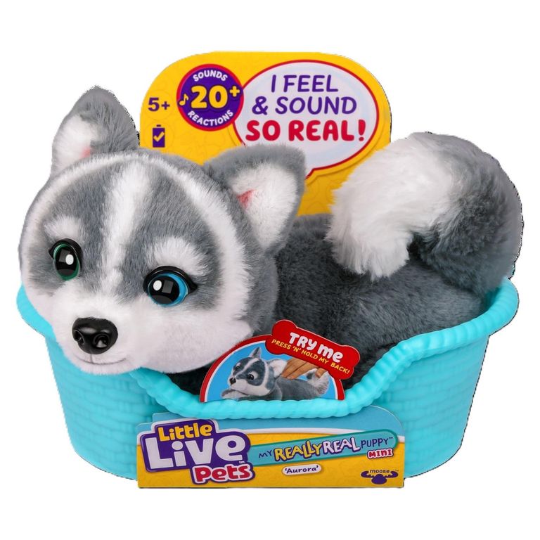 Cachorro Mini Husky Aurora