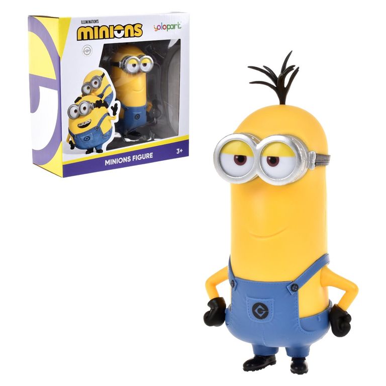 Figura 9 Cms Kevin