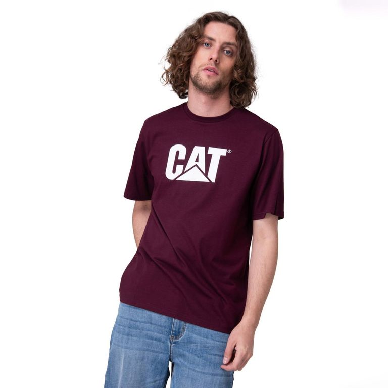 Polera Hombre