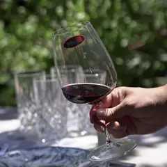 RIEDEL - Set 2 Copas Cristal Grape Cabernet 830 ml