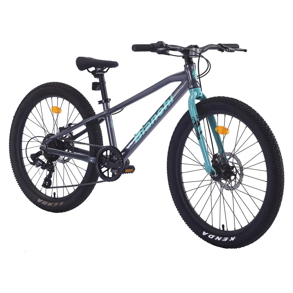 Bianchi Alloy 24 ST Gris, foto 2