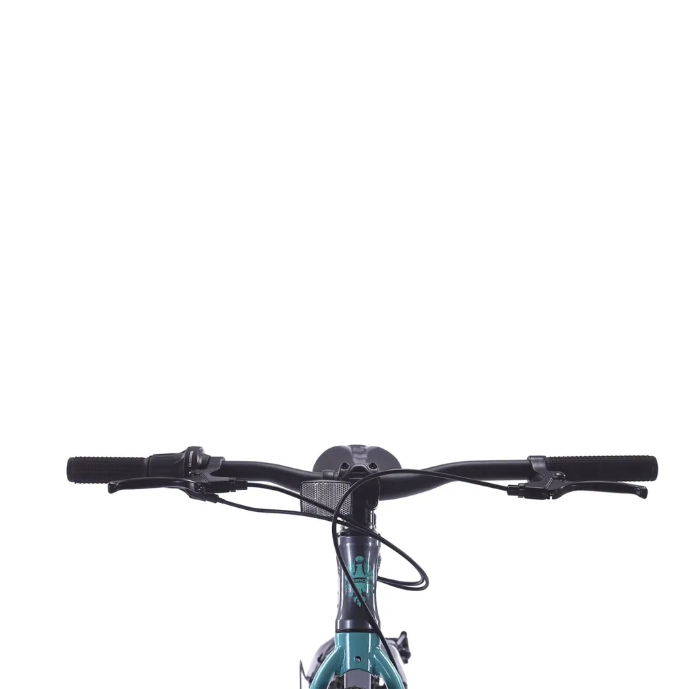 Bianchi Alloy 24 ST Gris, foto 3