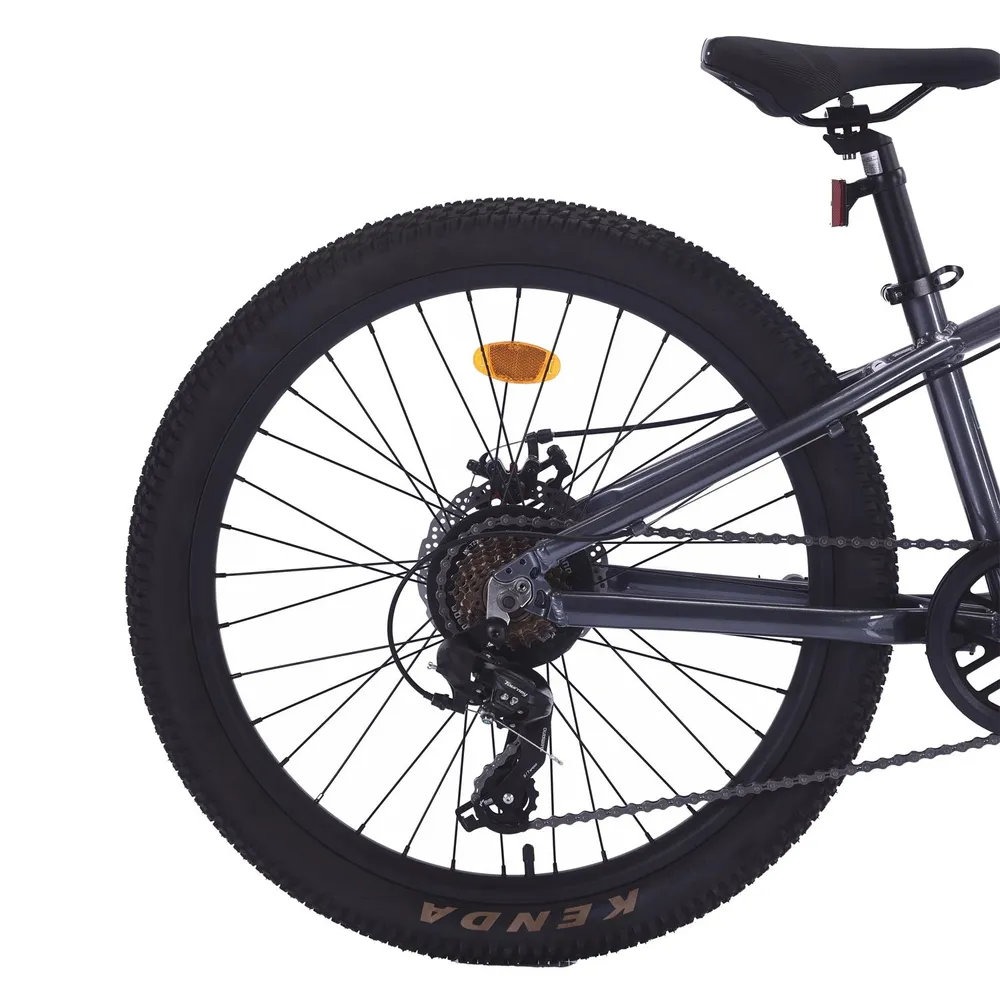 Bianchi Alloy 24 ST Gris, foto 4