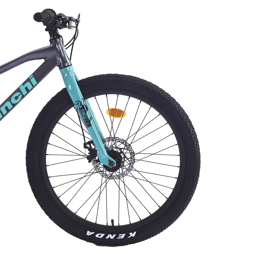Bianchi Alloy 24 ST Gris, foto 5