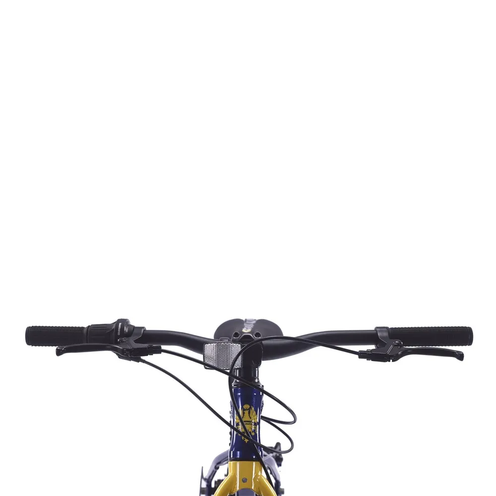 Bianchi Alloy 24 ST Azul, foto 3