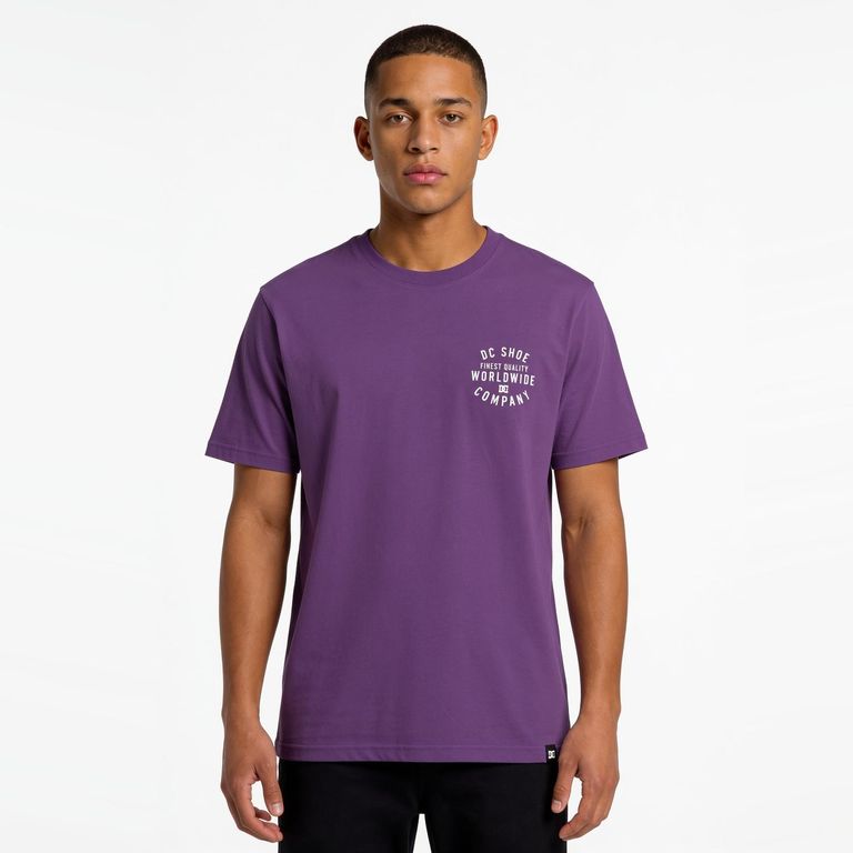 DC SHOES Polera Manga Corta Hombre Dc