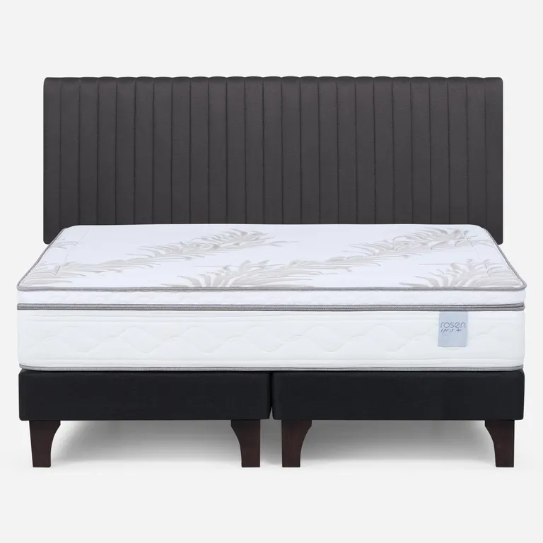 Cama Europea Neo Plus King X 2.00 CM Base Dividida + Respaldo