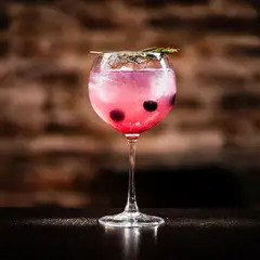HAUSMANN - Set 4 Copas de Gin Montepulciano