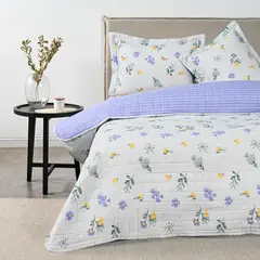 AMERICAN FAMILY - Quilt Nadine