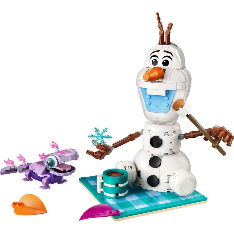 Picnic Olaf Y Bruni