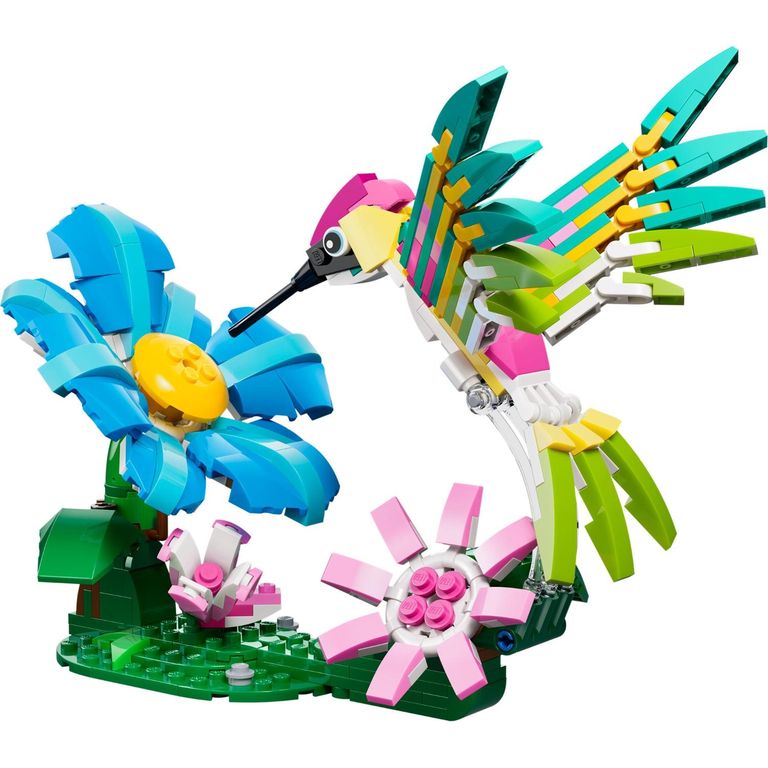 Colibri Salvaje