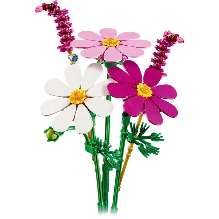 Flores De Cosmos