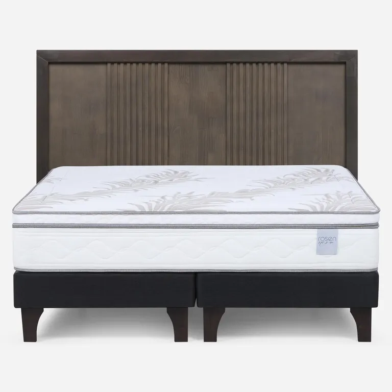 Cama Europea Neo Plus King X 2.00 CM Base Dividida + Respaldo