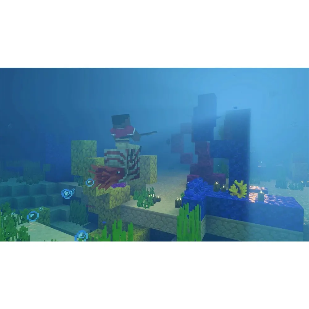 Minecraft para Switch 2, foto 4