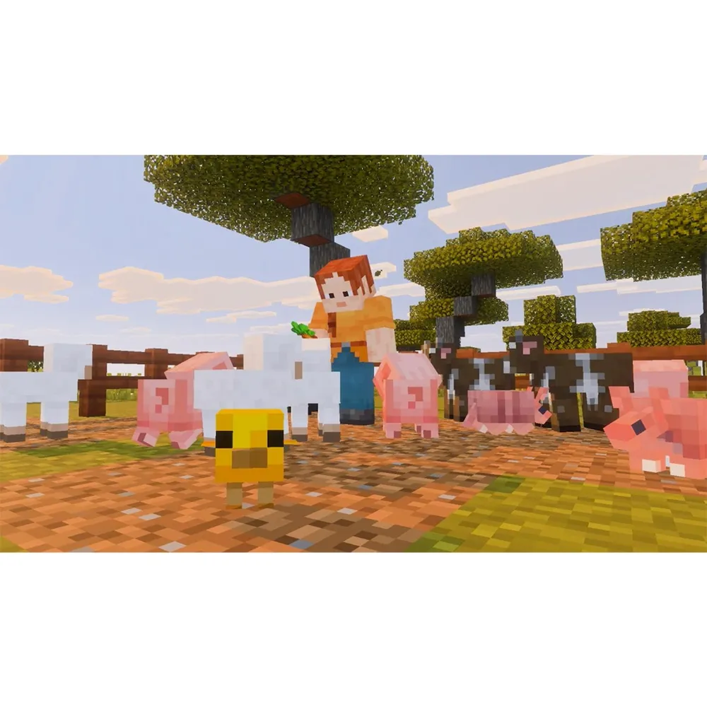 Minecraft para Switch 2, foto 5