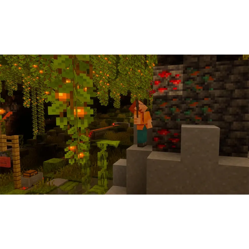 Minecraft para Switch 2, foto 7