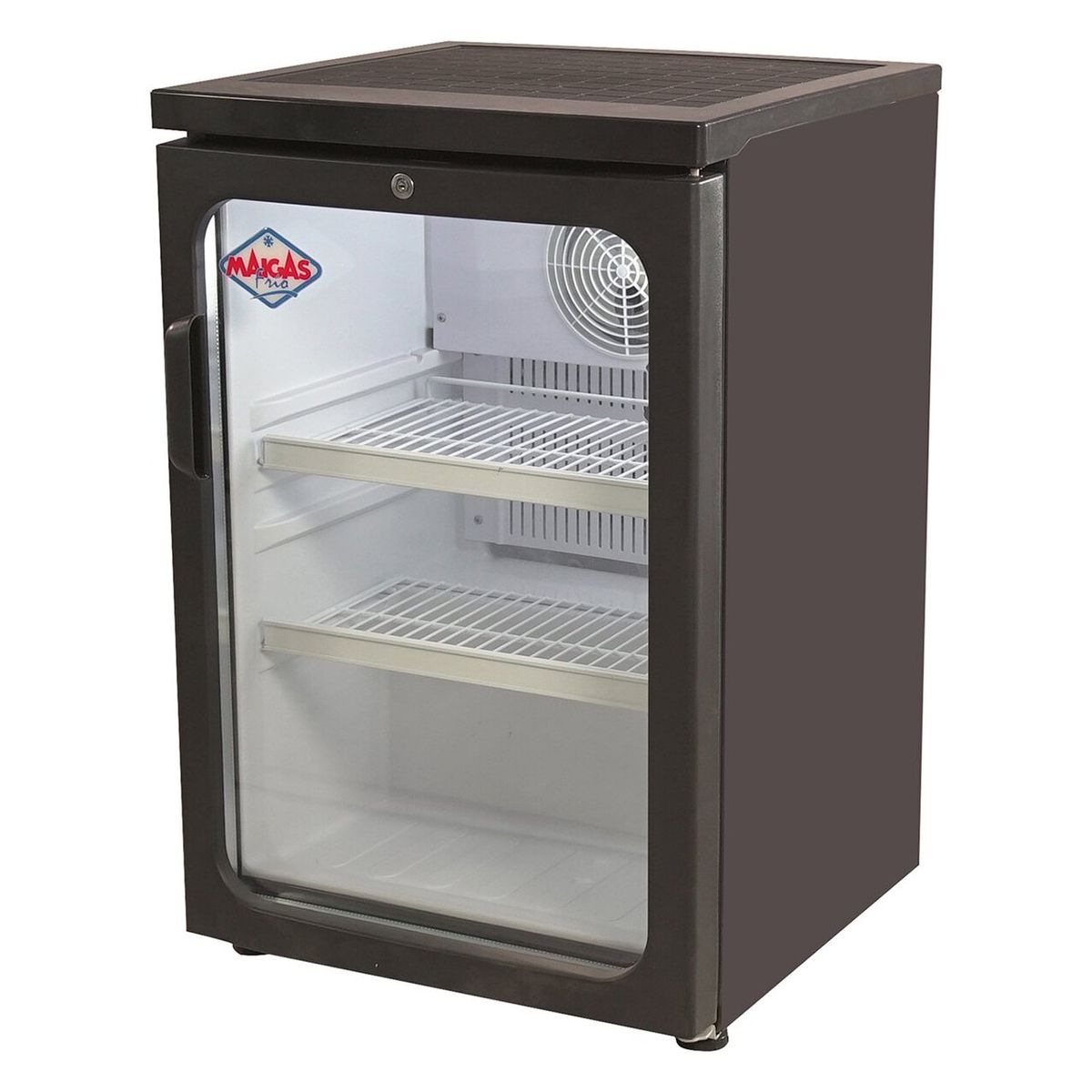 MAIGAS - Visicooler 120 lt