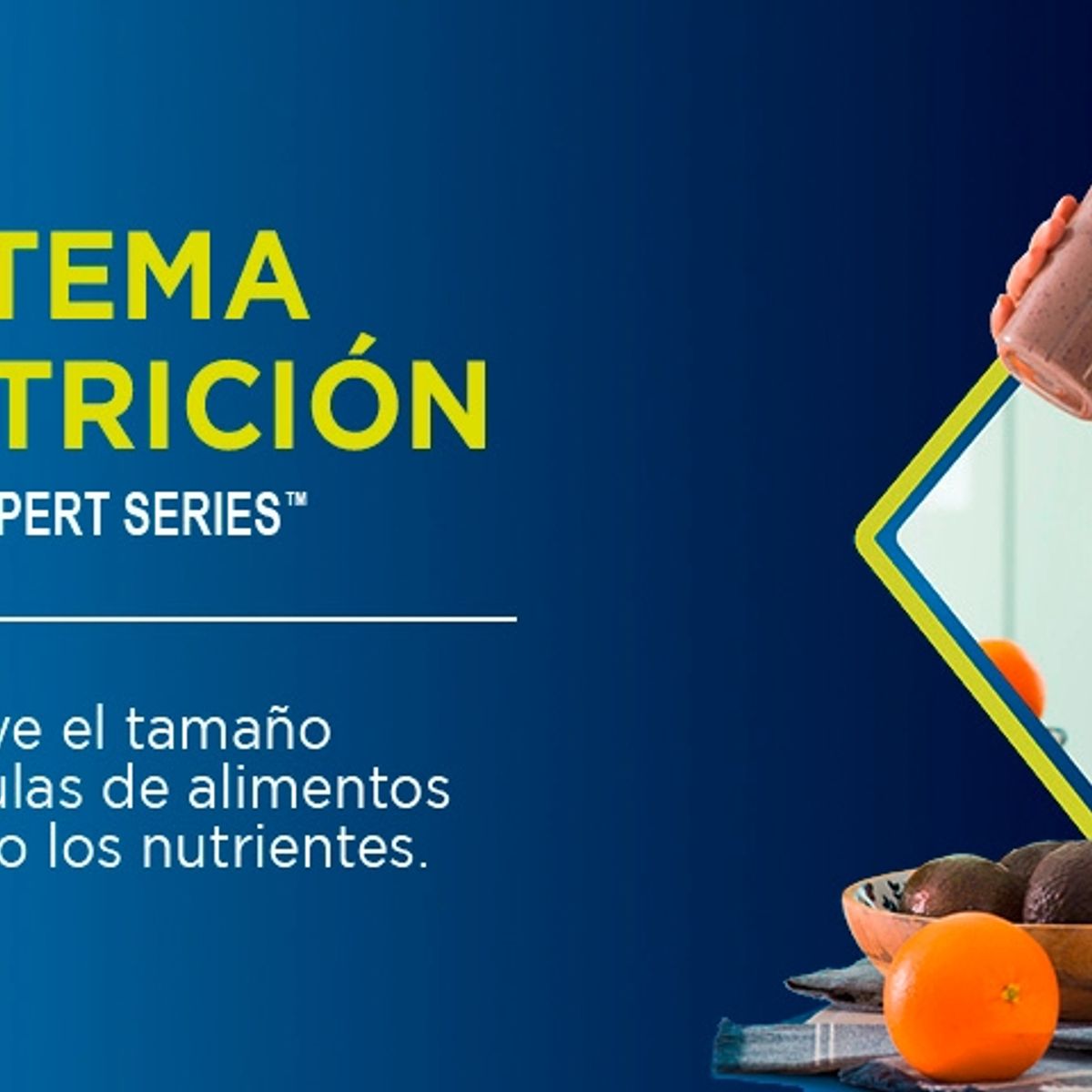 OSTER - Oster Multi-blender