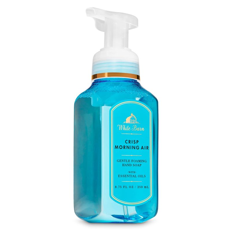 BATH & BODY WORKS - Foam Soap Crisp Morning Air