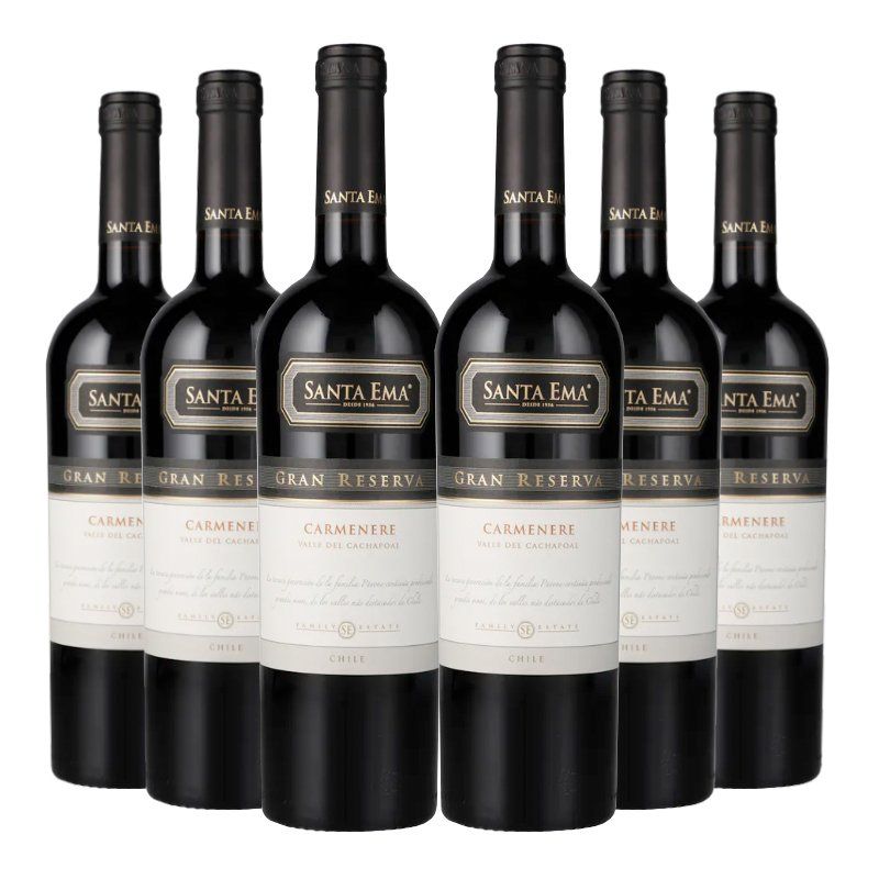 SANTA EMA - Vino 6 Santa Ema Gran Reserva Carmenere