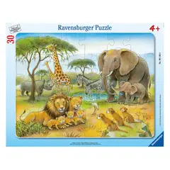 RAVENSBURGER - Caramba Puzzle Enmarcado Vida Salvaje