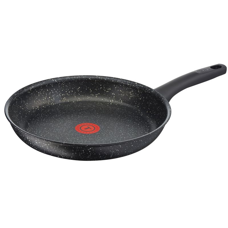 TEFAL - Tefal Sartén Antiadherente Aluminio Everest 28 Cm