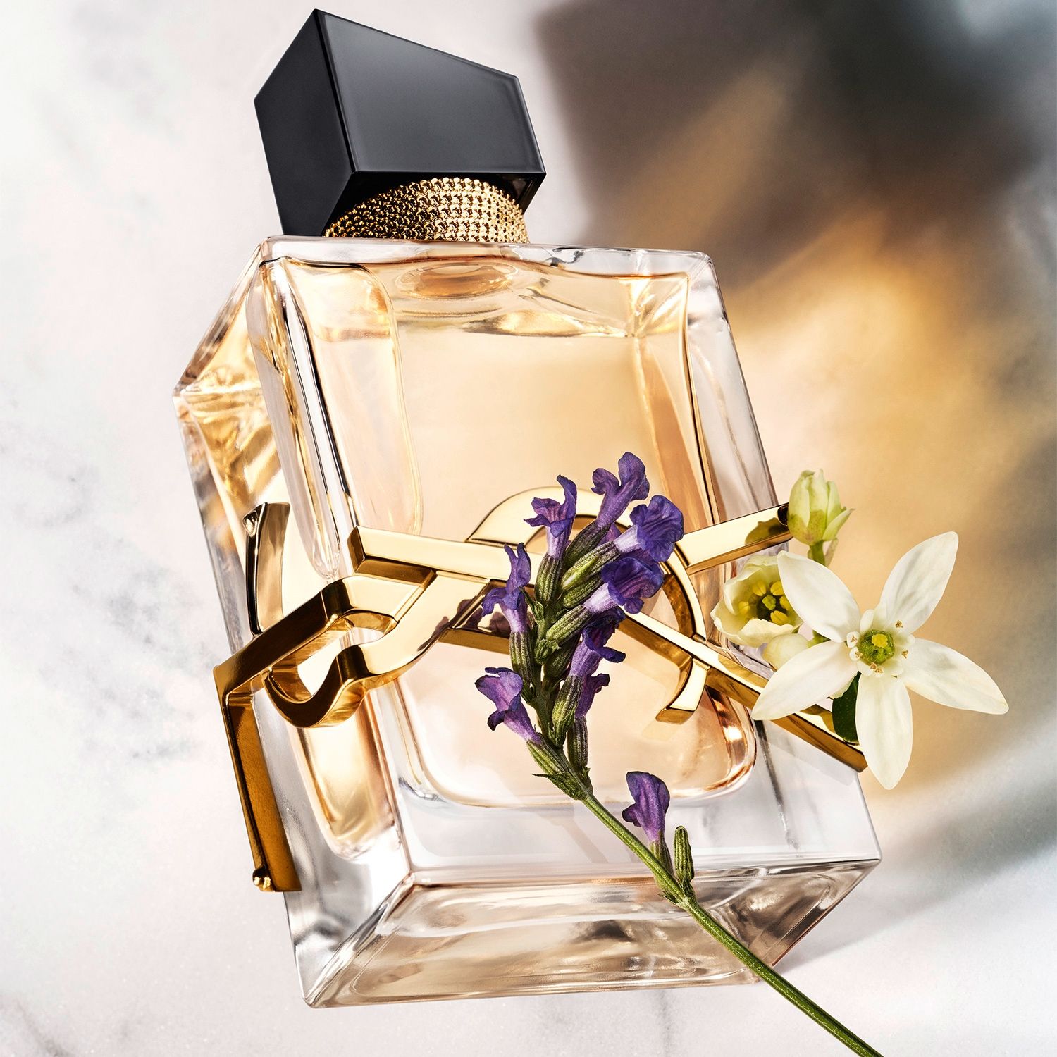 YVES SAINT LAURENT Perfume Mujer Libre Edp 50Ml Yves Saint Laurent