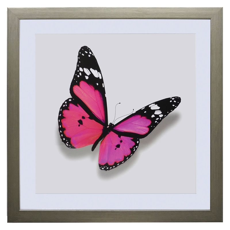 RONDA - Cuadro Mariposa Fucsia 50X50 Cm Ronda