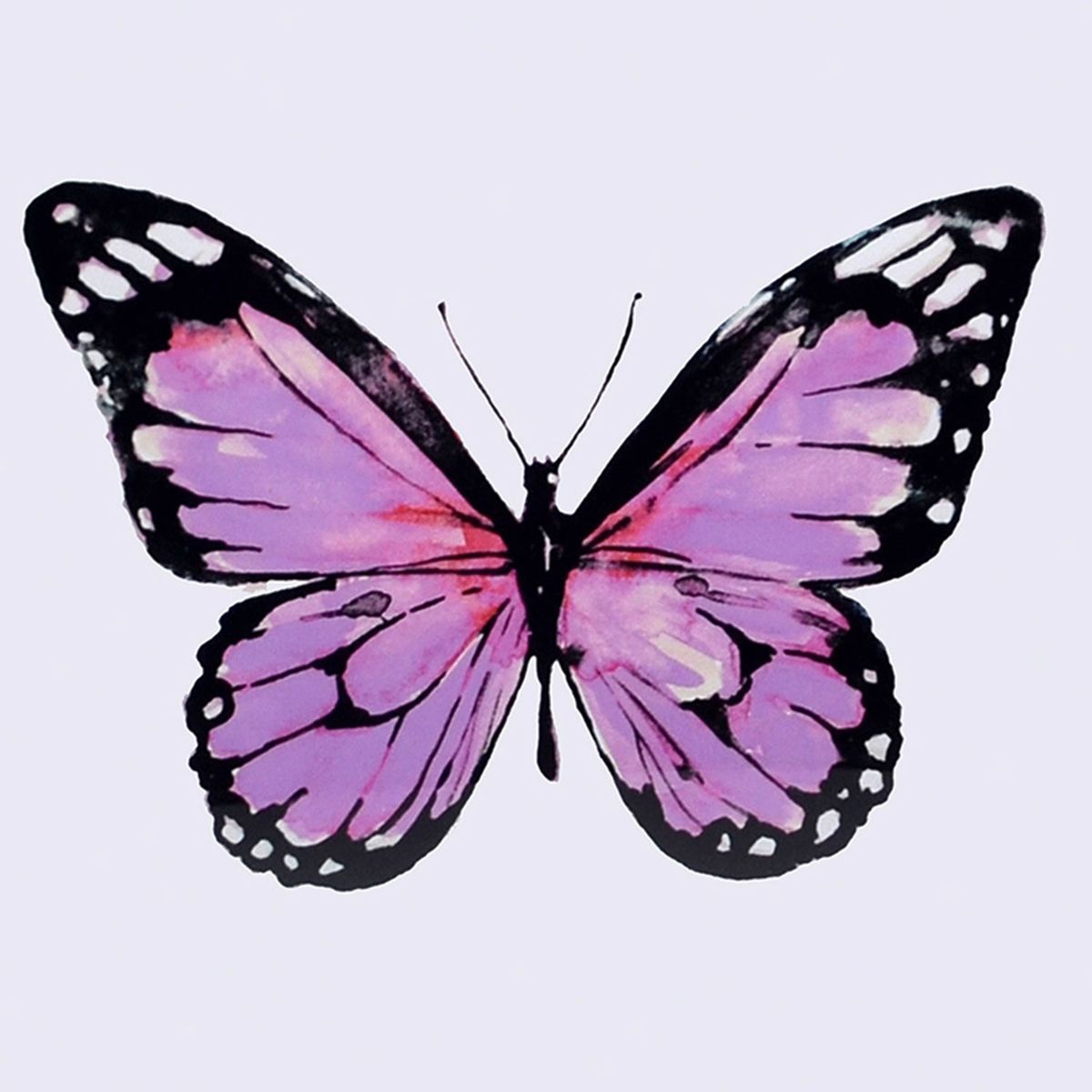 RONDA - Porta Llaves Cuadros 50X50 Cm Ronda