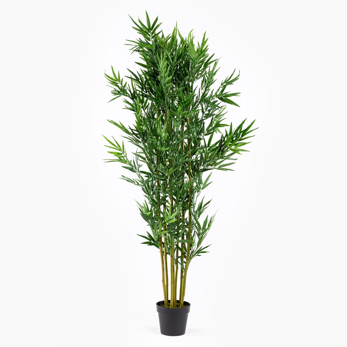 MICA - Planta Bamboo Con Pot 180 Cm Mica