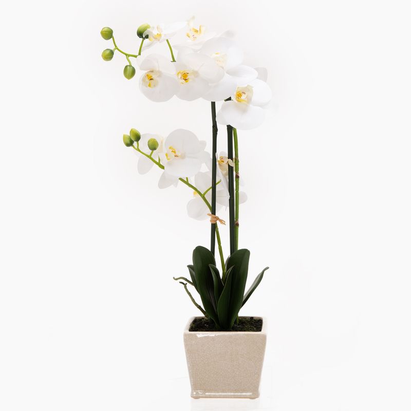 MICA - Orquídea Blanca Cuad 56 cm Mica