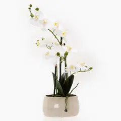 MICA - Orquídea Blanca Redonda 56cm Decorativa
